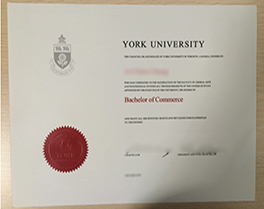 buy York University fake diploma from Toronto