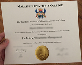 how long to get Malaspina University College diploma