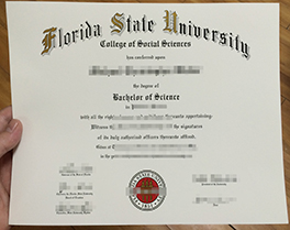buy fake diploma of Florida State University, fake degree in Florida