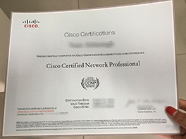 buy fake CCNP certificate from UK