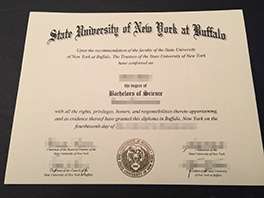 State University of New York at Buffalo diploma sample