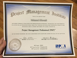 how to obtain PMP fake certificate