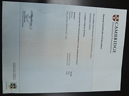 make GCE fake certificate in UK