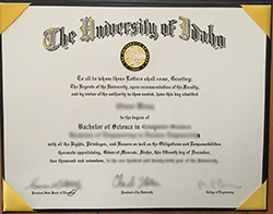 How to Buy Fake University of Idaho Diploma?