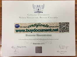How to Buy A Fake Capilano University Degree with Hologram?