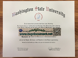How Much For Fake Washington State University (WSU) Diploma?