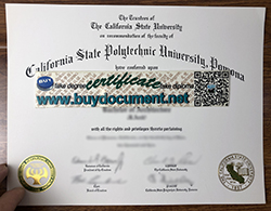 How to Buy Fake California State Polytechnic University, Pomona (CPP) Diploma?