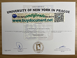 How to Apply For UNYP Business Management Degree Certificate?