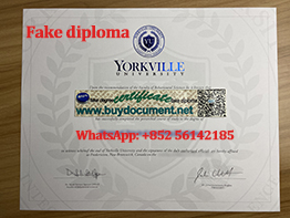Where Can I Get A Fake Yorkville University Diploma?