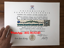 Where Can I Get A Fake University of Pennsylvania Diploma? UPenn Degree.