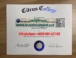 Replace a copy of your Citrus College diploma