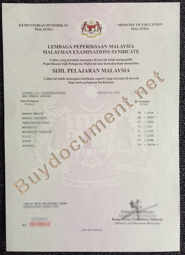 SPM fake diploma, SPM certificate