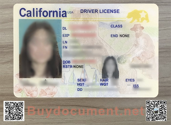Fake Driver License