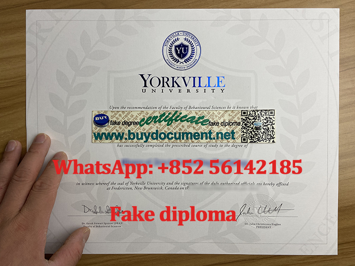 Yorkville University diploma for sale. Faek Yorkville degree